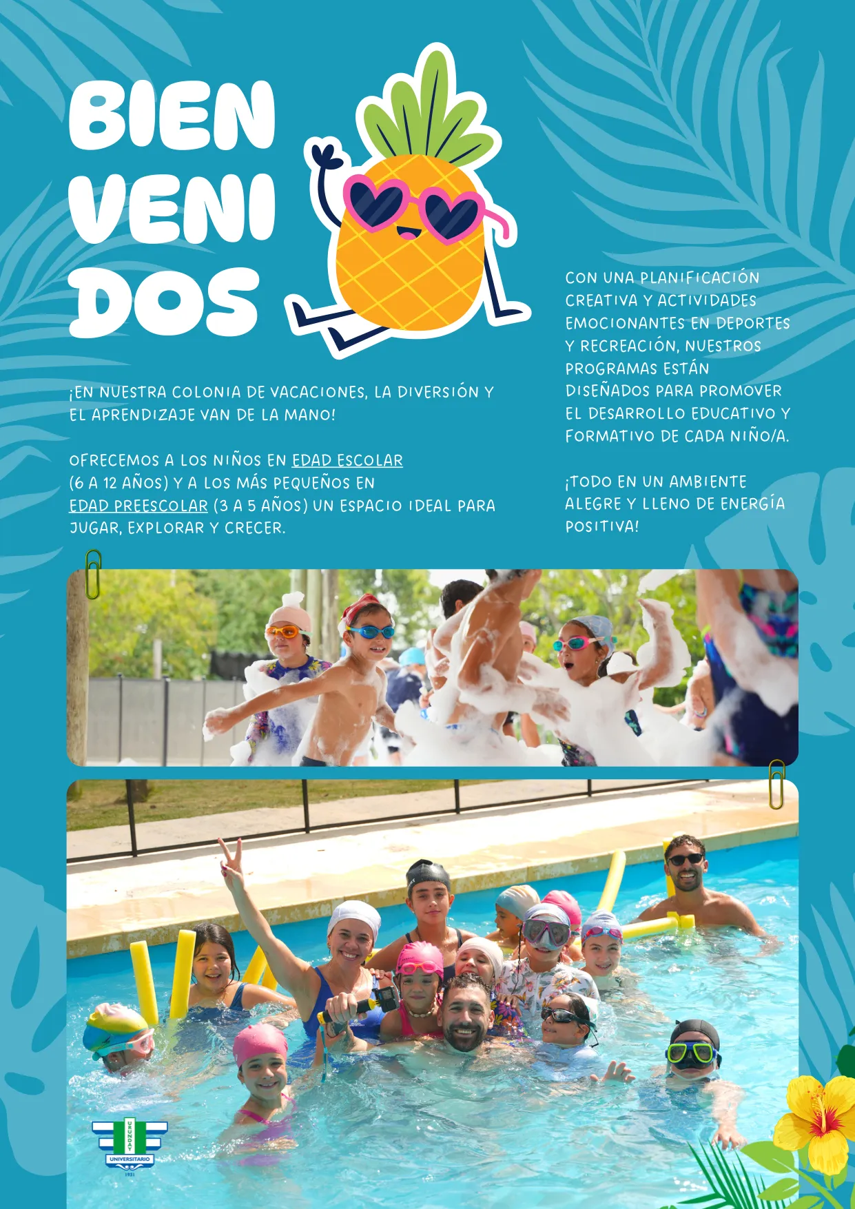 Colonia de Verano 2027 — página 2 de 11