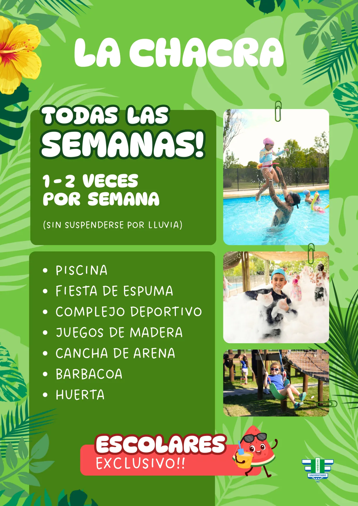 Colonia de Verano 2027 — página 4 de 11