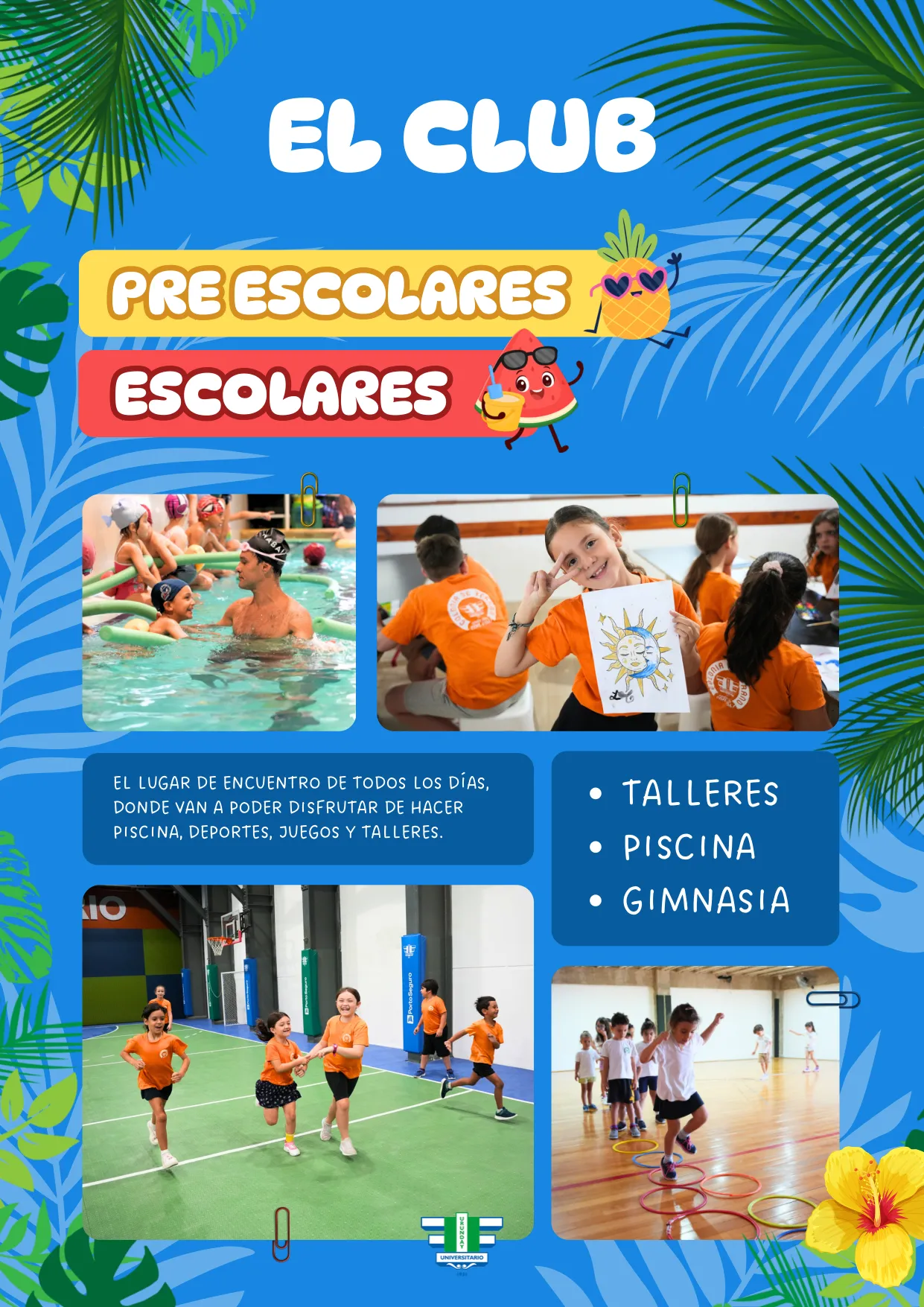 Colonia de Verano 2027 — página 5 de 11