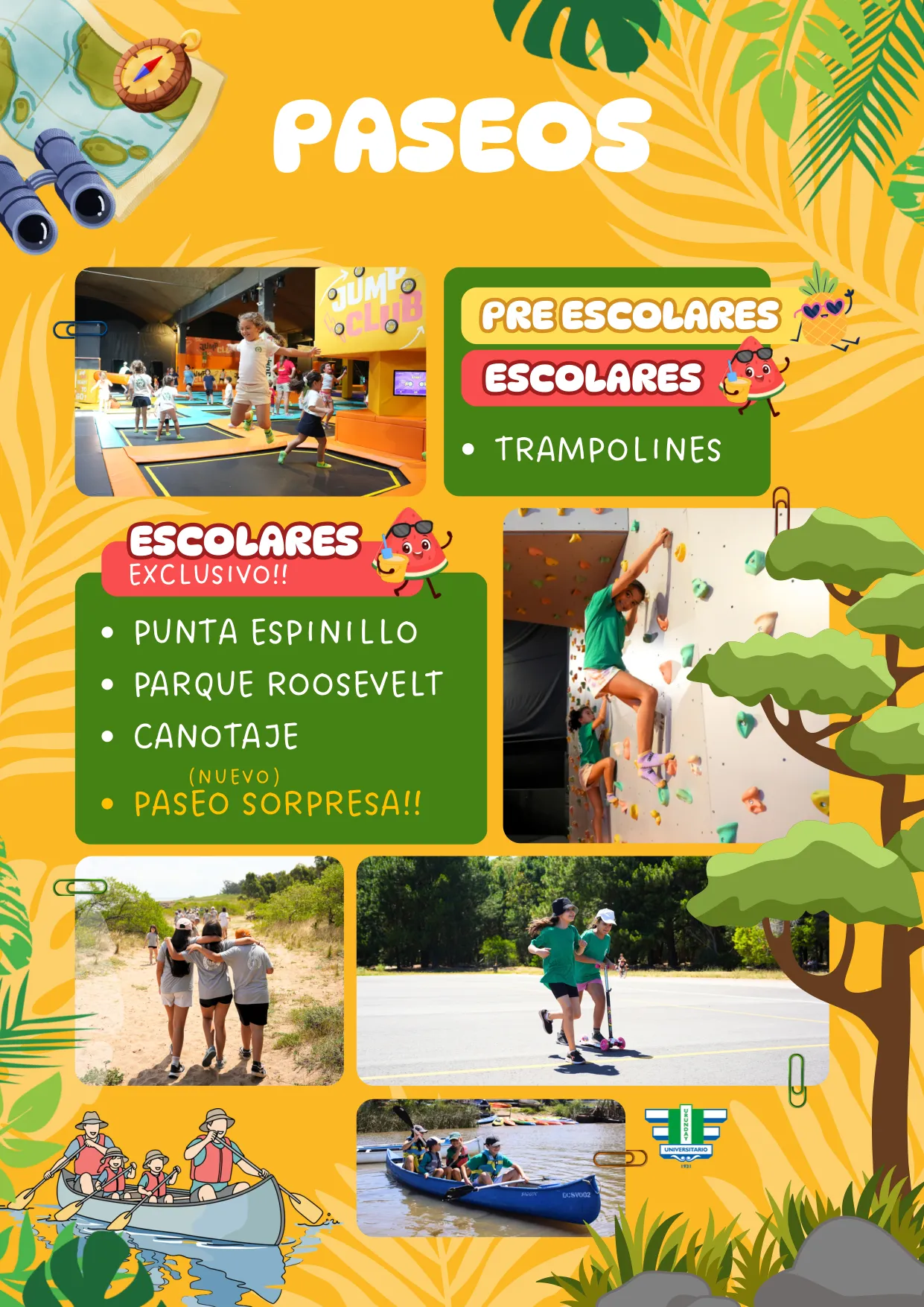 Colonia de Verano 2027 — página 6 de 11