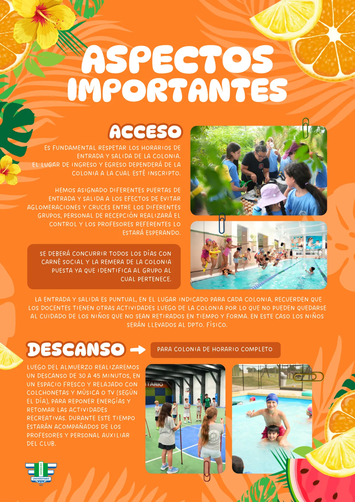 Colonia de Verano 2027 — página 7 de 11